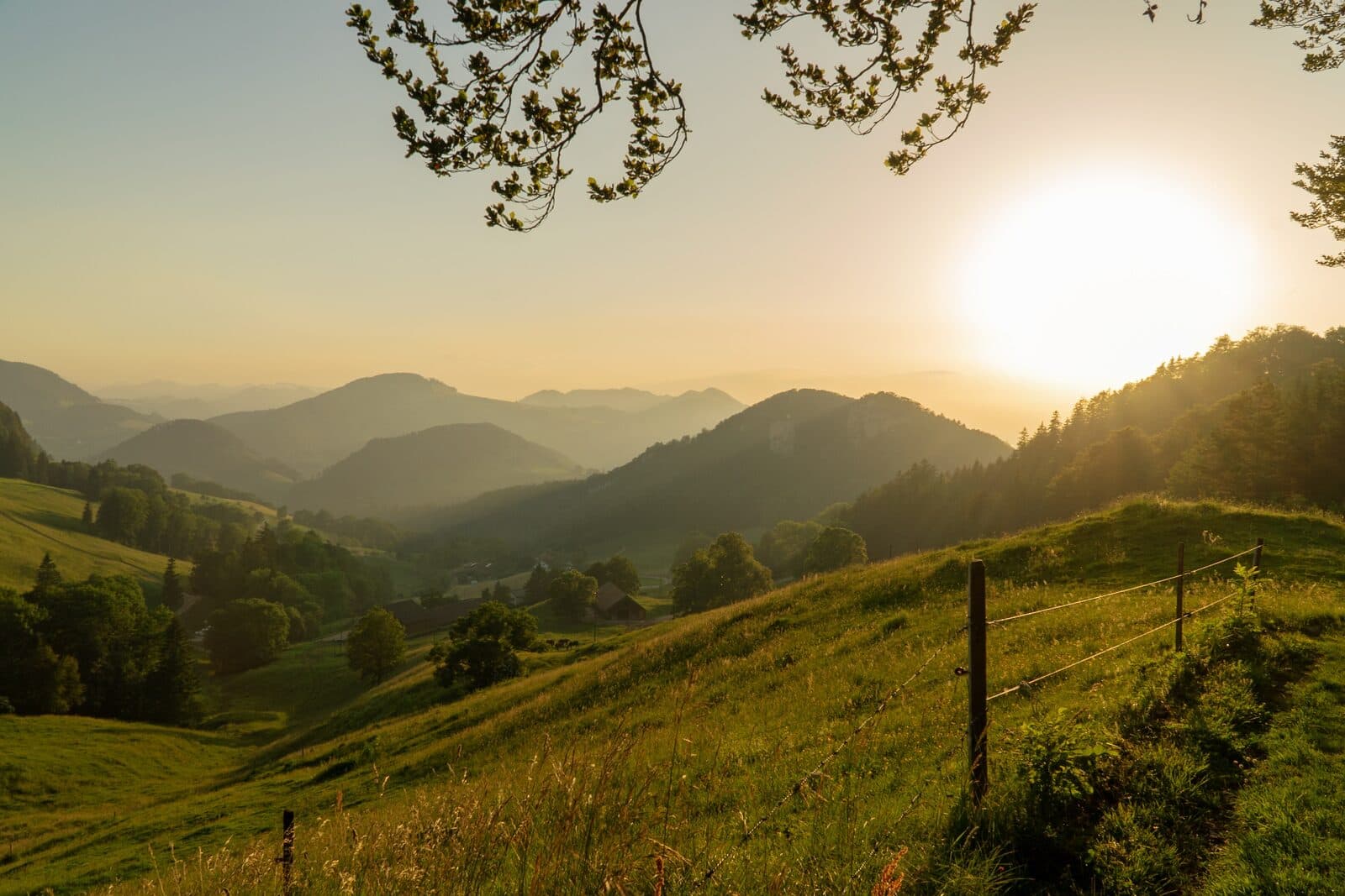 Rolling hills of the Basel Jura in the evening light