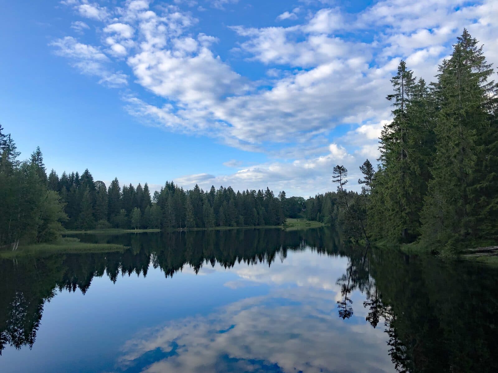 Étang de la Gruère in the Franches-Montagnes, with spruce forest reflected in the water