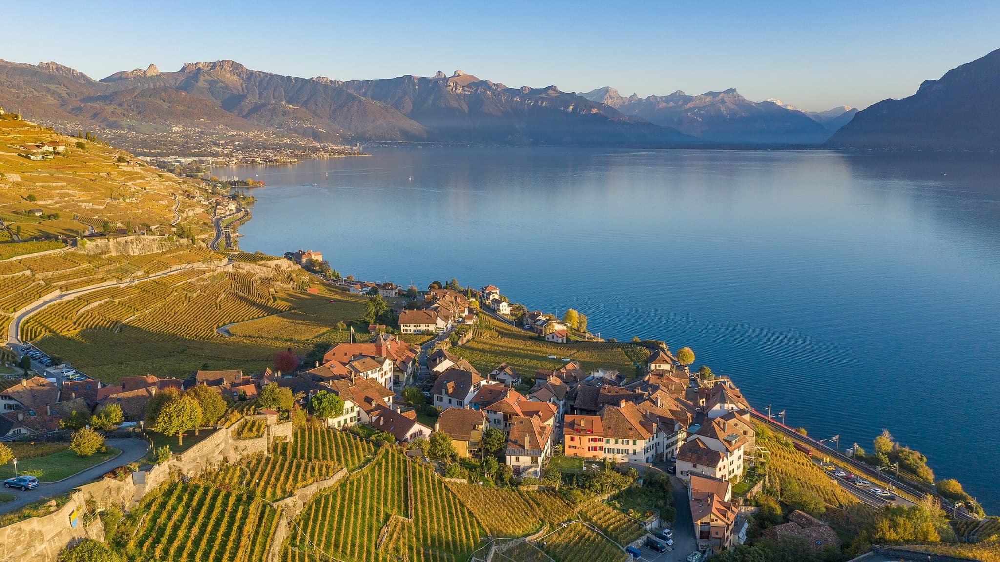 Terrazze vitate del Lavaux sopra il Lago Lemano con un villaggio sul lago e le Alpi nella luce della sera