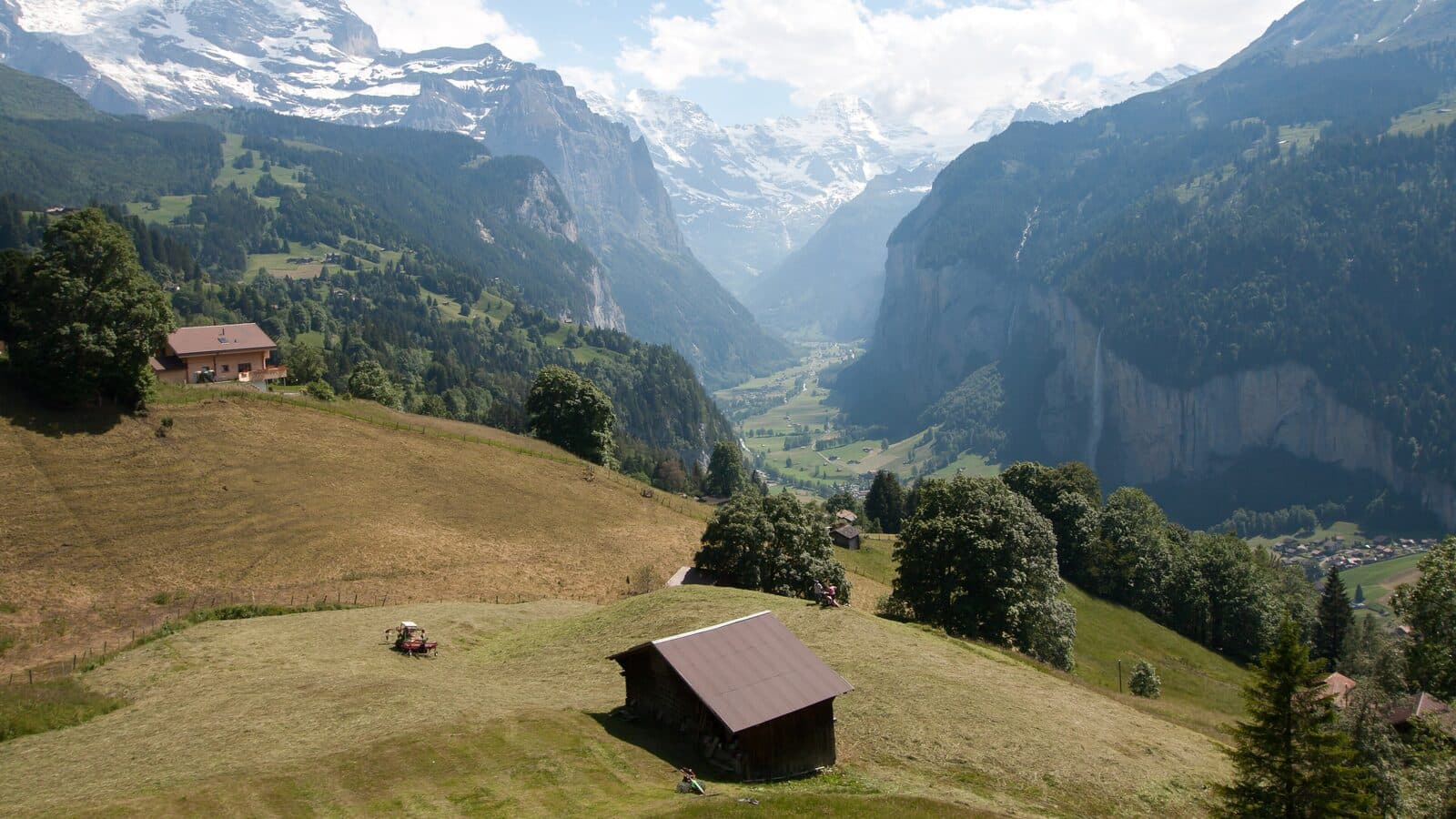 Das Lauterbrunnental von Wengen aus, mit Wiesen, Heuschobern und steilen Felswänden