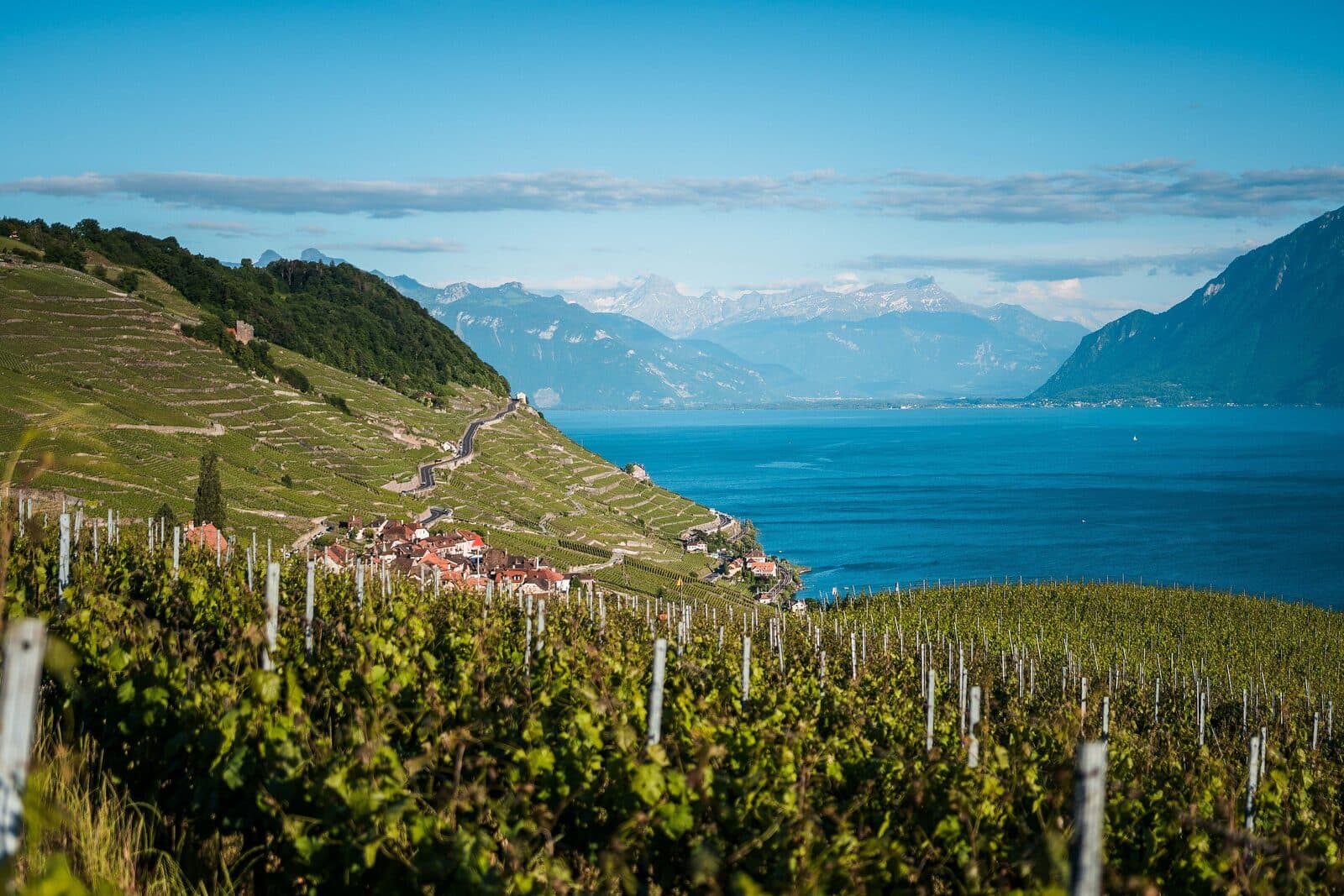 The Lavaux vineyard terraces above Lake Geneva