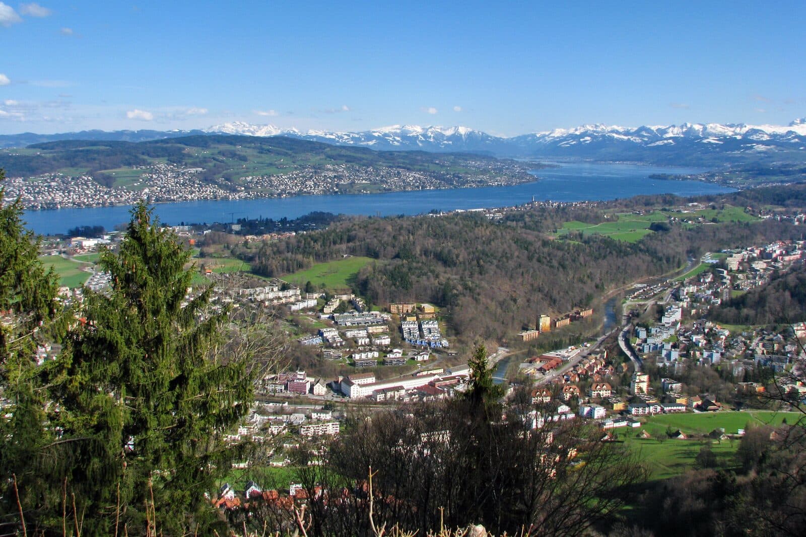 Il lago di Zurigo e la valle della Sihl visti dall'Albis, con le Alpi all'orizzonte